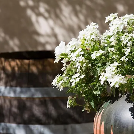 Hotel Le Pre Galoffre 3*